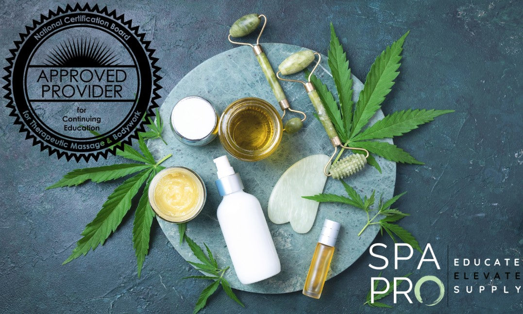 First in the Nation to Offer NCBTMB Endorsed Cannabis and CBD Massage Education Courses