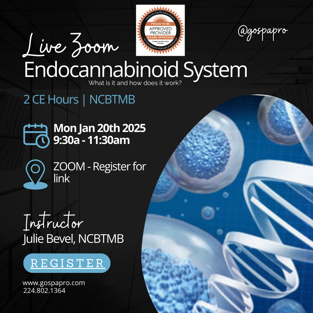 Endocannabinoid System Class - [2 CE's] - NCBTMB Approved