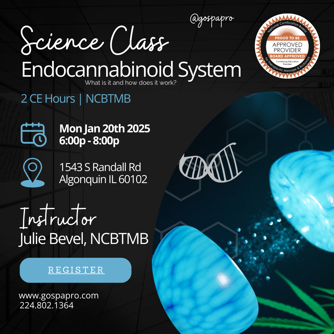 Endocannabinoid System Class - [2 CE's] - NCBTMB Approved