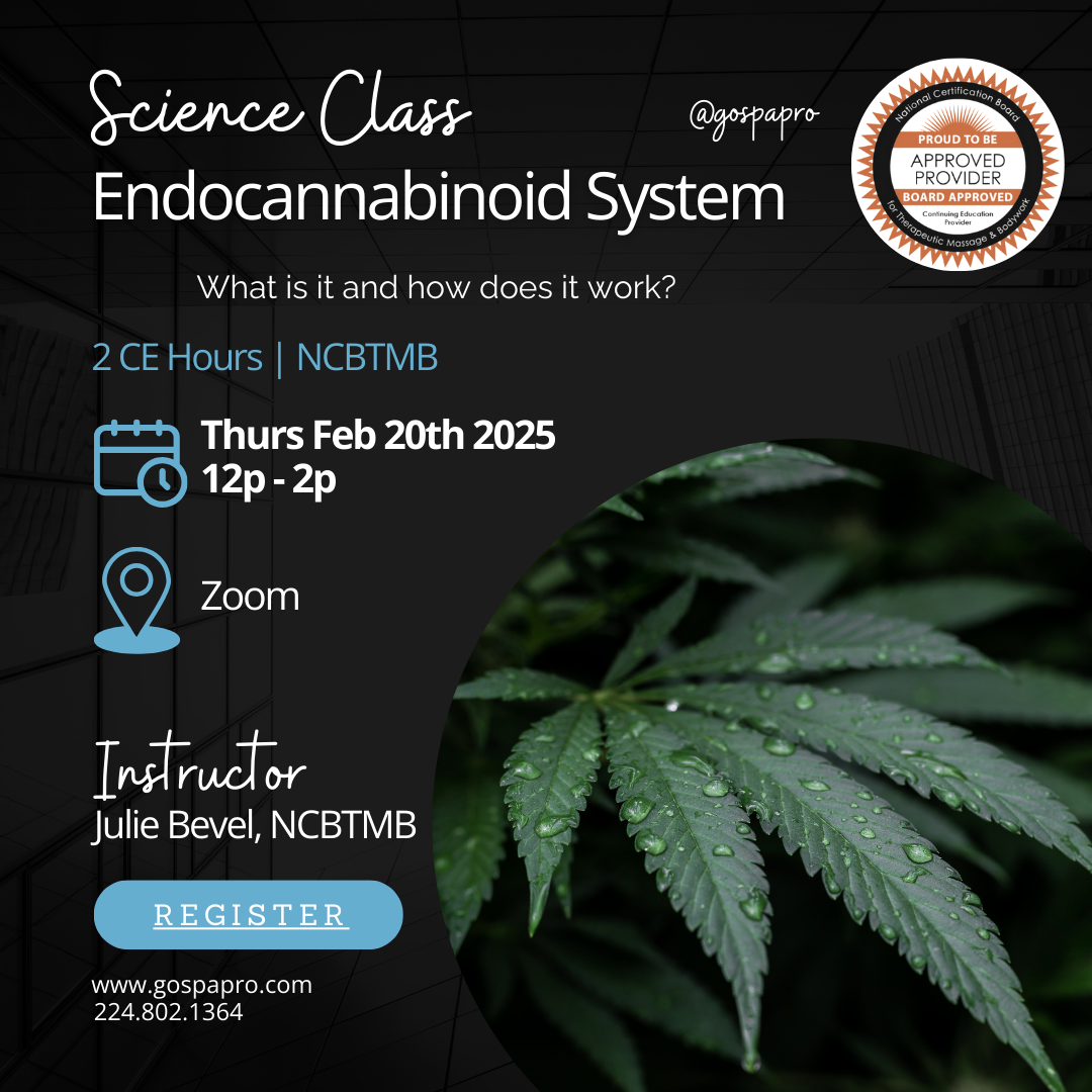 Endocannabinoid System Class - [2 CE's] - NCBTMB Approved